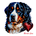 Bernese Mountain Dog (Heart)