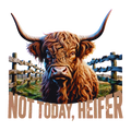 Highland Cow 65