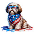 Shihtzu USA