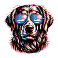 USA glasses