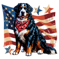 Berner w/Flag