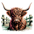 Highland Cow 67