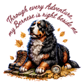 Bernese Loyalty