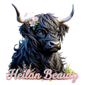 Highland Cow 59