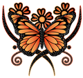 Butterfly68