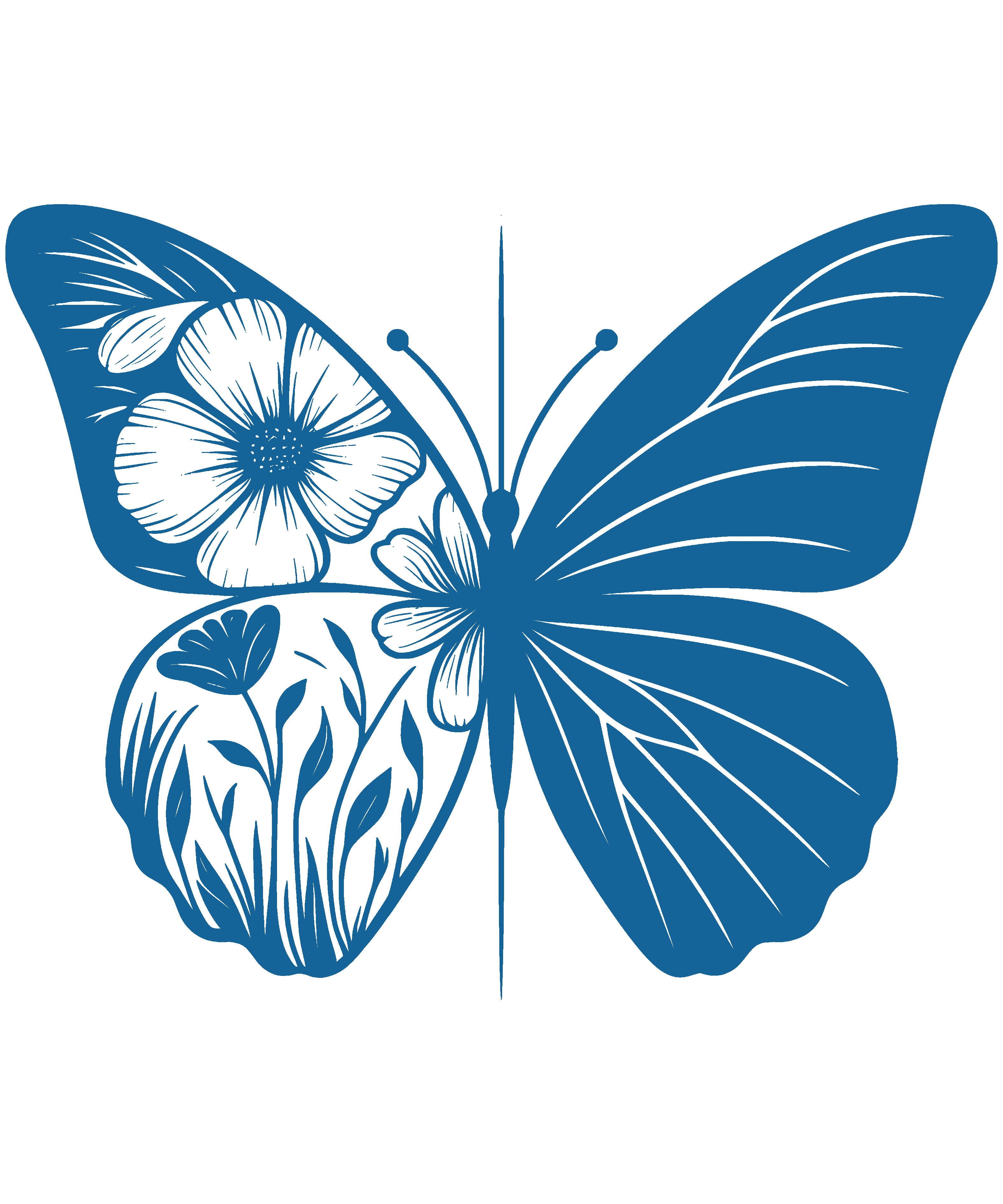 Butterfly70