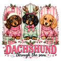 Dachshund through the snow