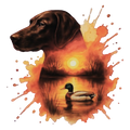 Lab (duck)