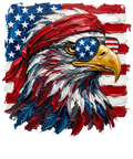 American Eagle2