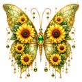 Butterfly46