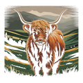Highland Cow 80