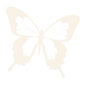 Butterfly65