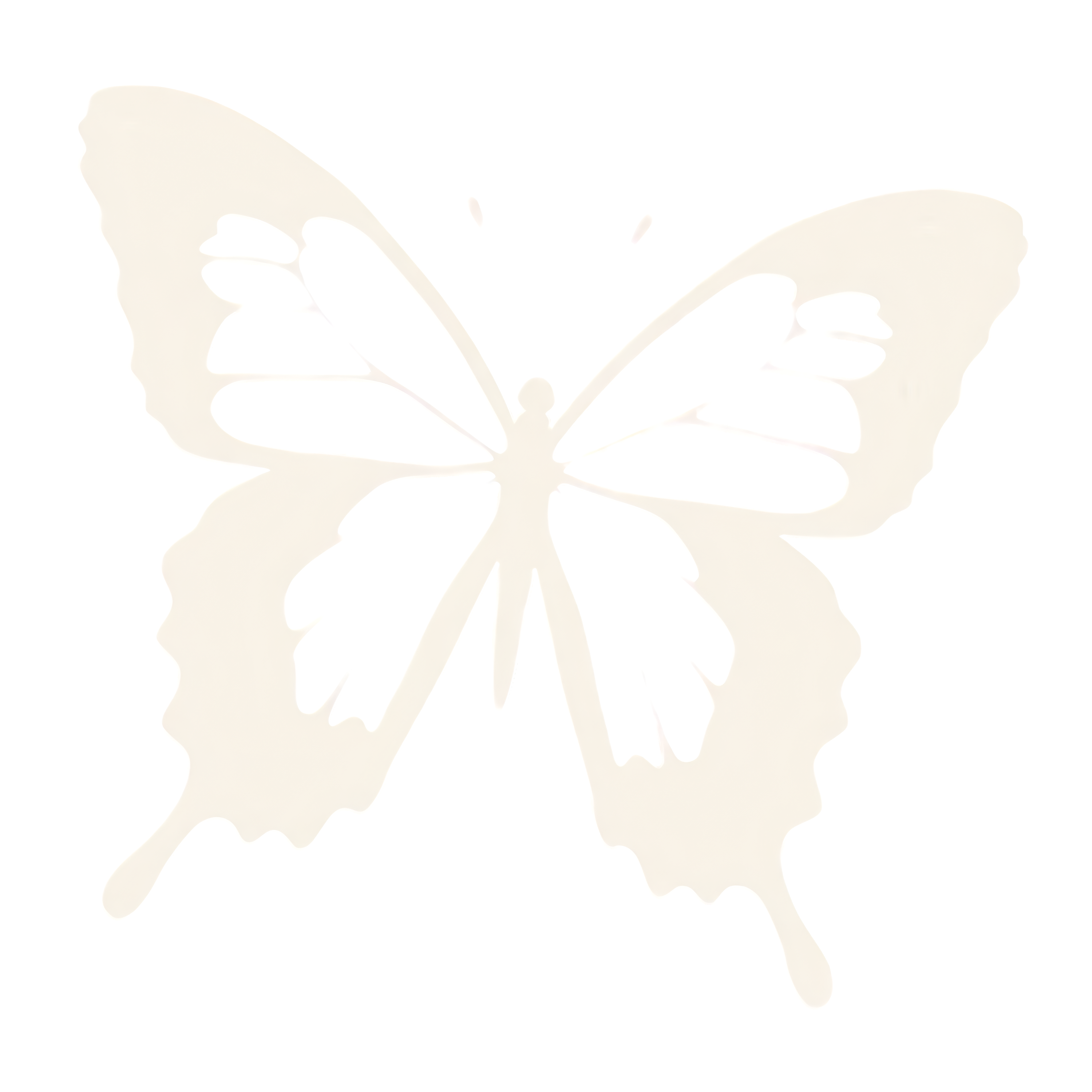 Butterfly65