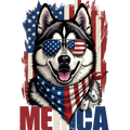 Merica" Husky