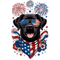 Black Lab (red, white, blue)