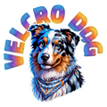 Velcro Dog (aussie)