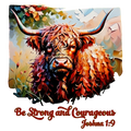 Highland Cow 89