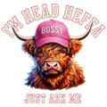 Highland Cow 90