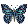 Butterfly55