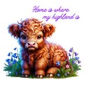 Highland Cow 92