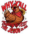Why Y'all Trying To Test The Jesus In Me2