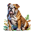 Bull Dog