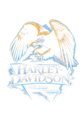 HD_55 "Halftone" (Black Backround)
