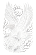 HD_19 "Halftone" (Black Backround)