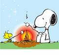 Snoopy and Woodstock Roasting Marshmallows DTF transfer