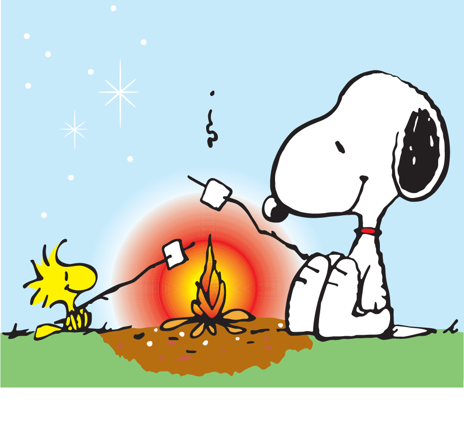 Snoopy and Woodstock Roasting Marshmallows DTF transfer