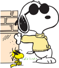 Joe Cool Snoopy and Woodstock at the Wall DTF transfer