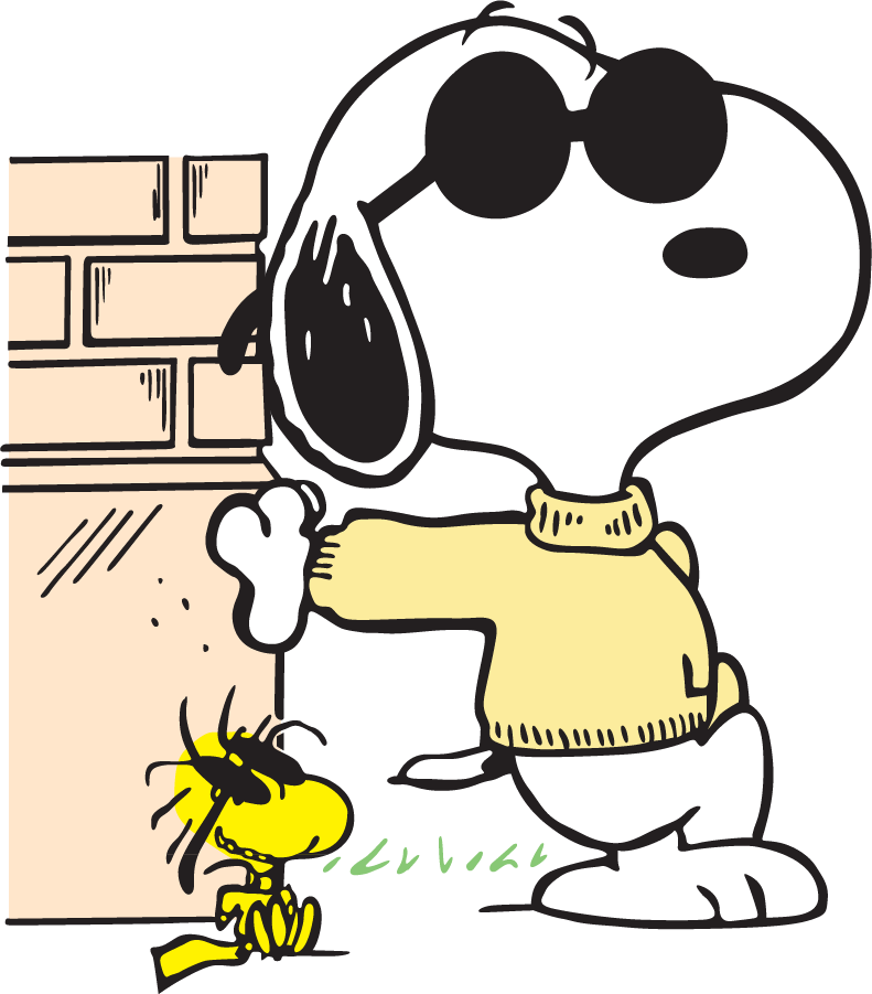 Joe Cool Snoopy and Woodstock at the Wall DTF transfer