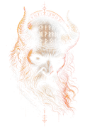 Viking 020 halftone DTF transfer