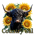Highland Cow 2