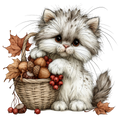 Whimsy_211