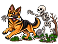 Dog Skeleton Bone