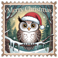 Santa Hat Owl Merry Christmas Stamp DTF transfer